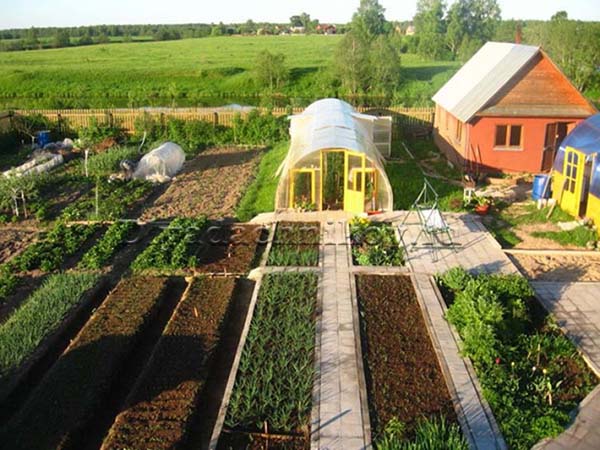 Планировка огорода и сада на приусадебном и дачном участке своими руками: фото